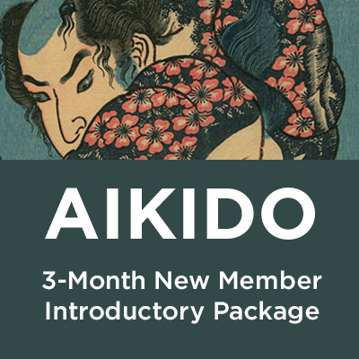 Aikido of Westchester, Hartsdale, NY